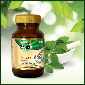  Zandu Tulsi